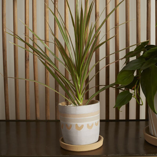 Symbol Pot - 4.5"