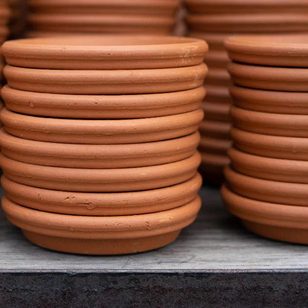 Terra cotta saucer - 4"