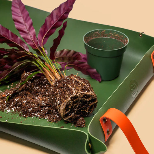 Tabletop Repotting Mat