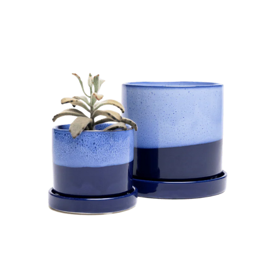 Minute Pot - Cobalt Blue