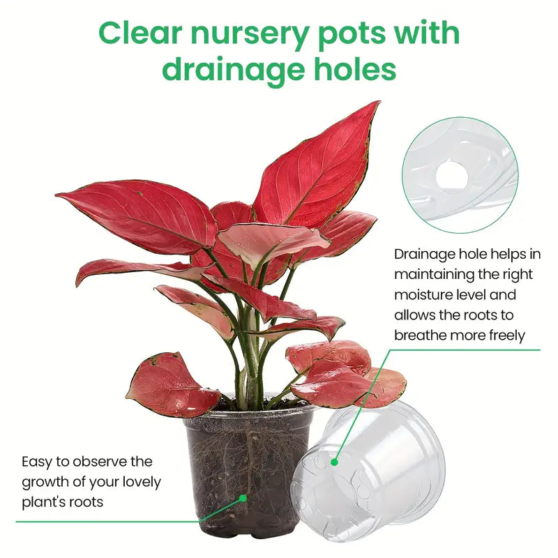 Clear Nursery Planters