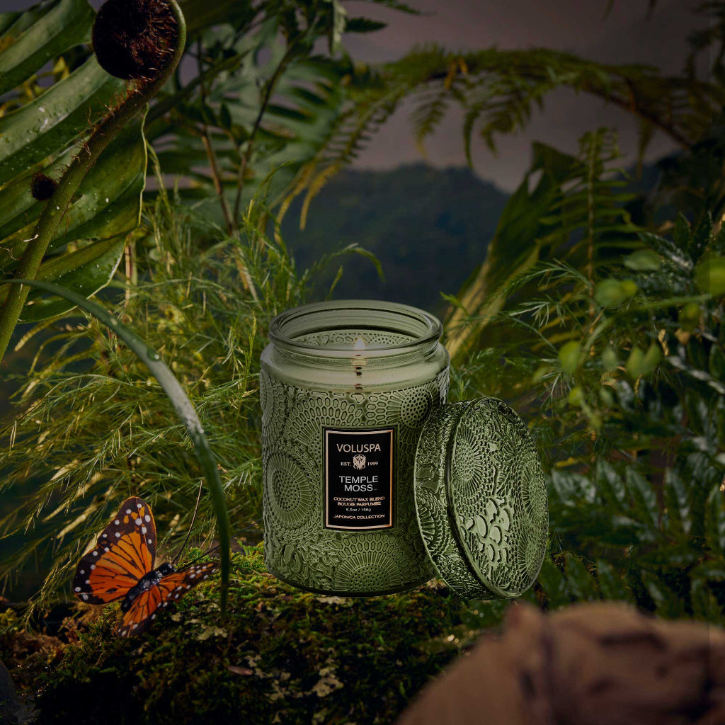 Temple Moss - 5.5 oz small jar
