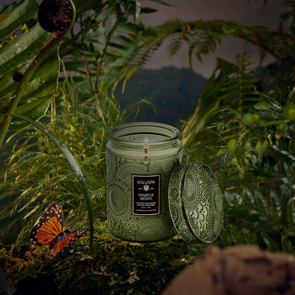 Temple Moss - 5.5 oz small jar