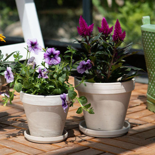 Standard Pot - 5" (granite)