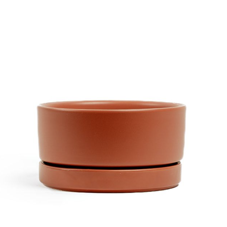 Momma Pot  - Low Bowl - 4.5"