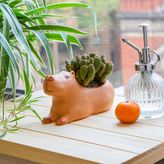 Cappy the Capybara Planter - Large