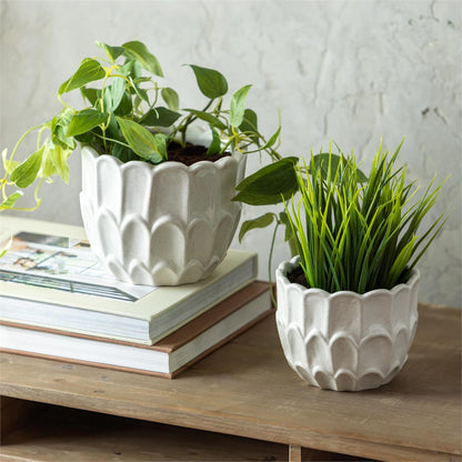 Scalloped Ceramic Planter