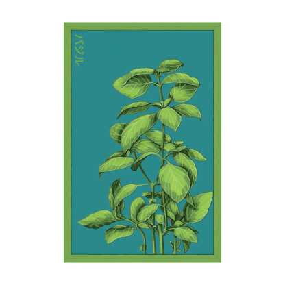 Seed - Basil Herb