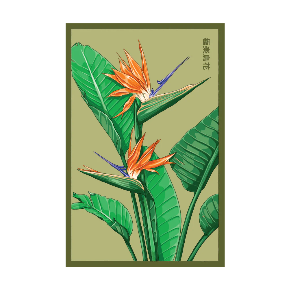 Seed - Bird of Paradise