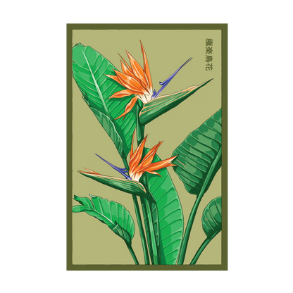 Seed - Bird of Paradise