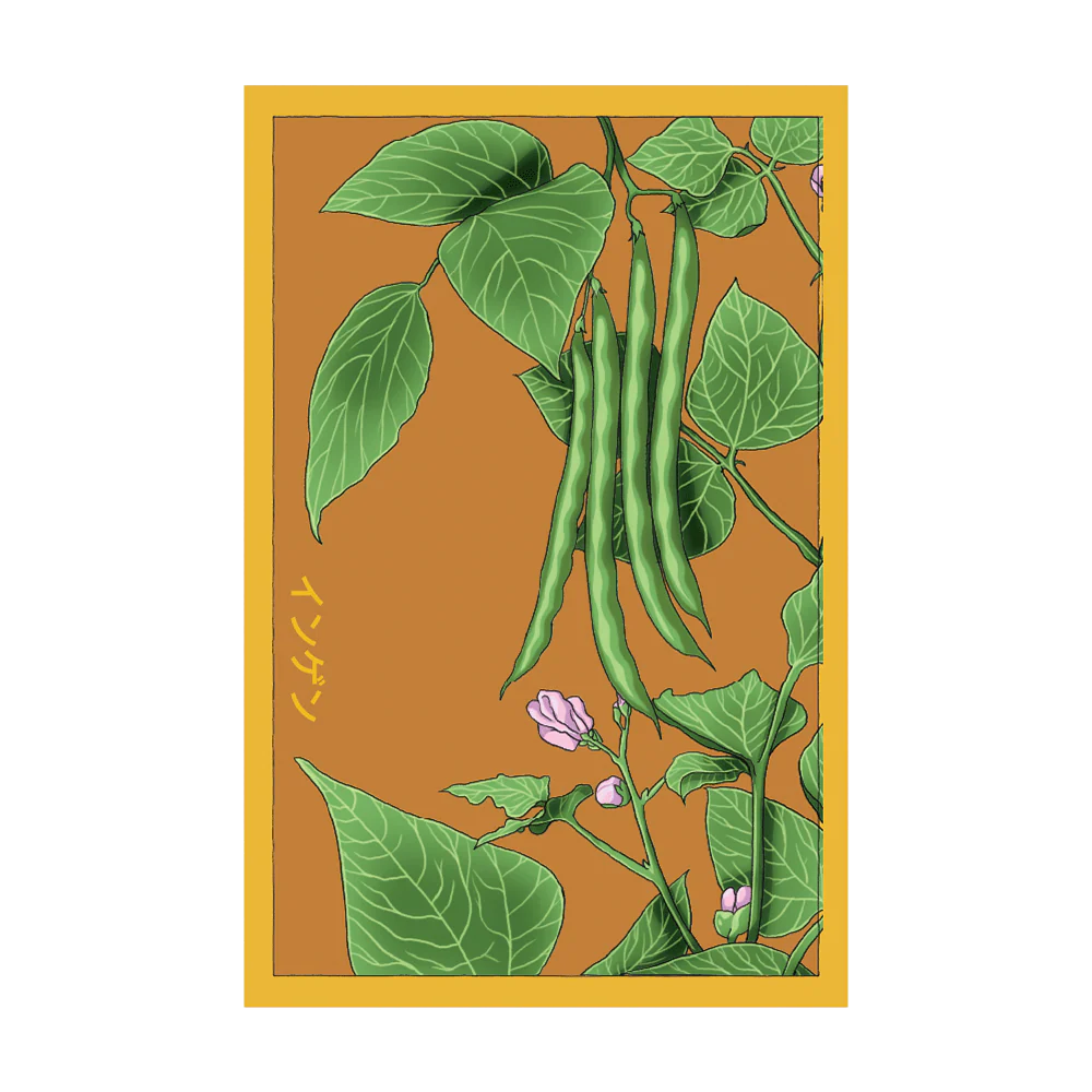 Seed - Green Beans