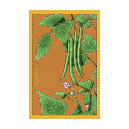 Seed - Green Beans