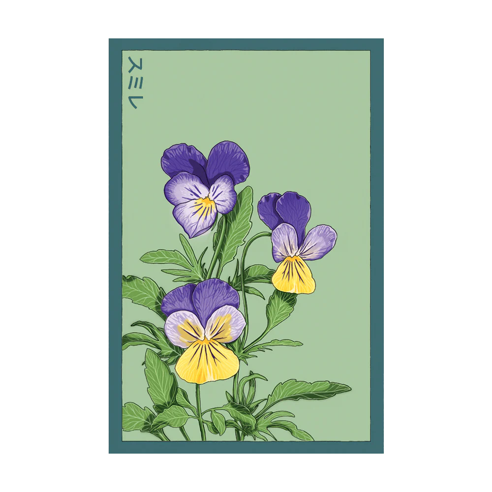 Seed - Pansy