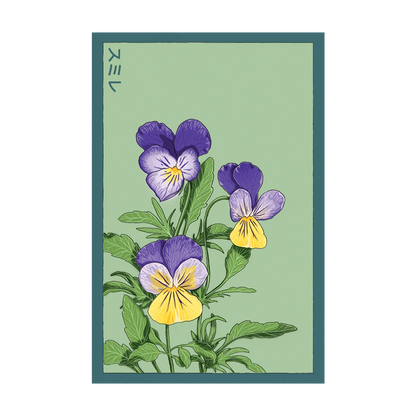 Seed - Pansy