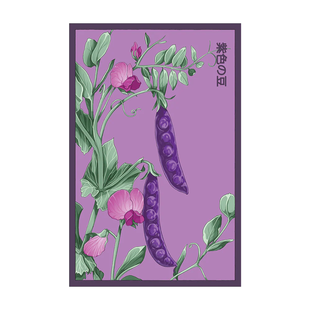Seed - Purple Peas