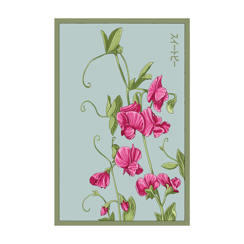 Seed - Sweet Peas