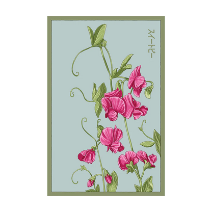 Seed - Sweet Peas