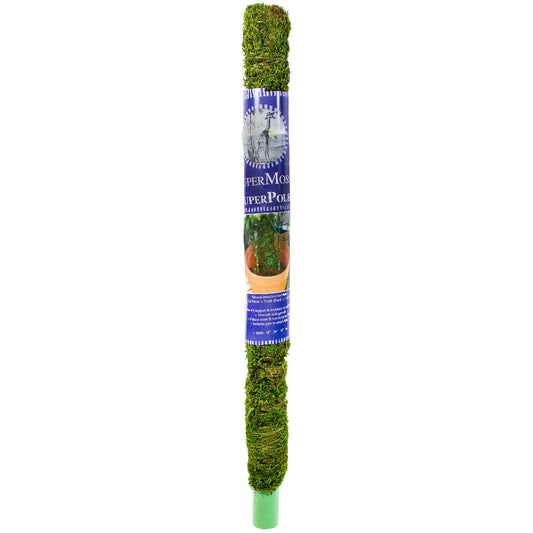 Natural Moss Pole - 24in