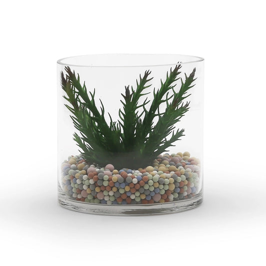 GLASS VASE - 6" X 6"