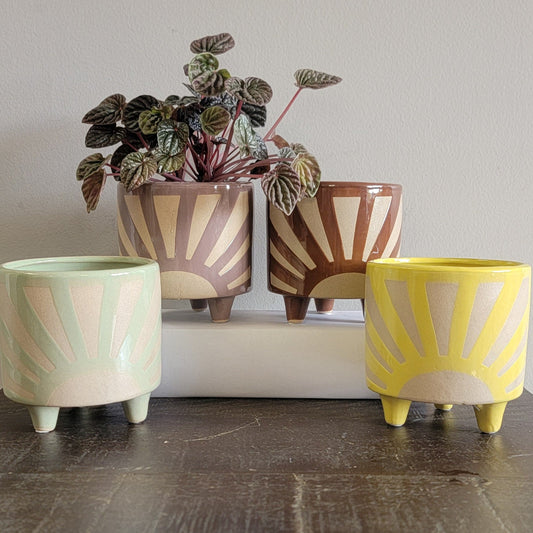 Starbust planter - 5"D
