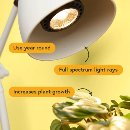 Instant Sun Grow Bulb - 12W