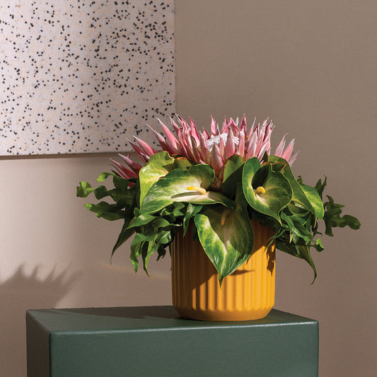 Beam Pot - 7" (Ochre)
