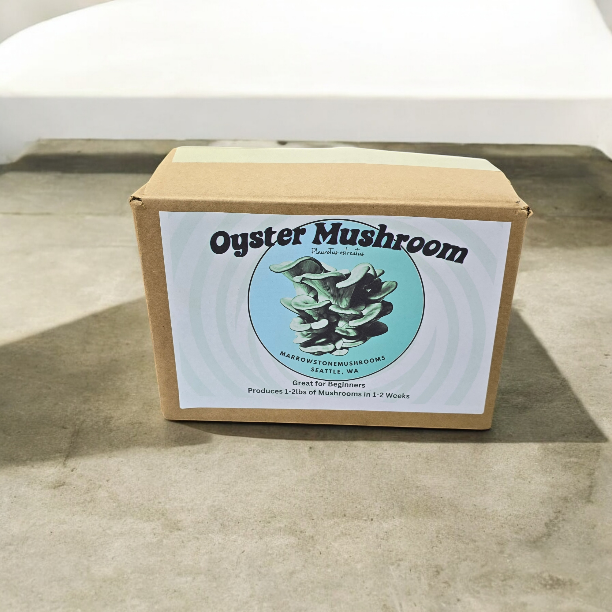 Oyster Mushroom Kit