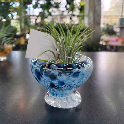 Mini Glass Airplant Holder