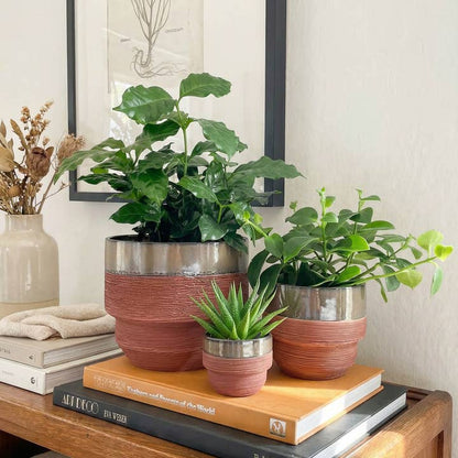 Freya Two Tone Planter