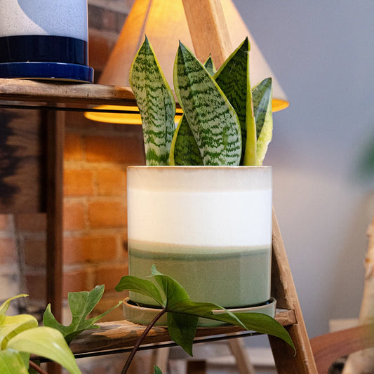 Minute Pot - Green Layers