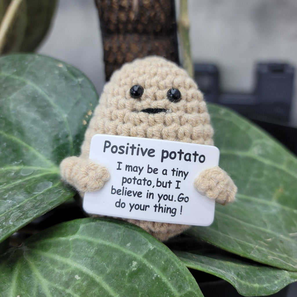 POTATO -  POSITIVE