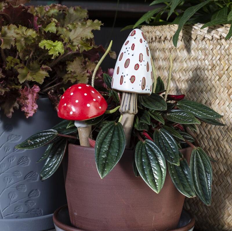 COOL SH*T - Spore Plant Stick (red)
