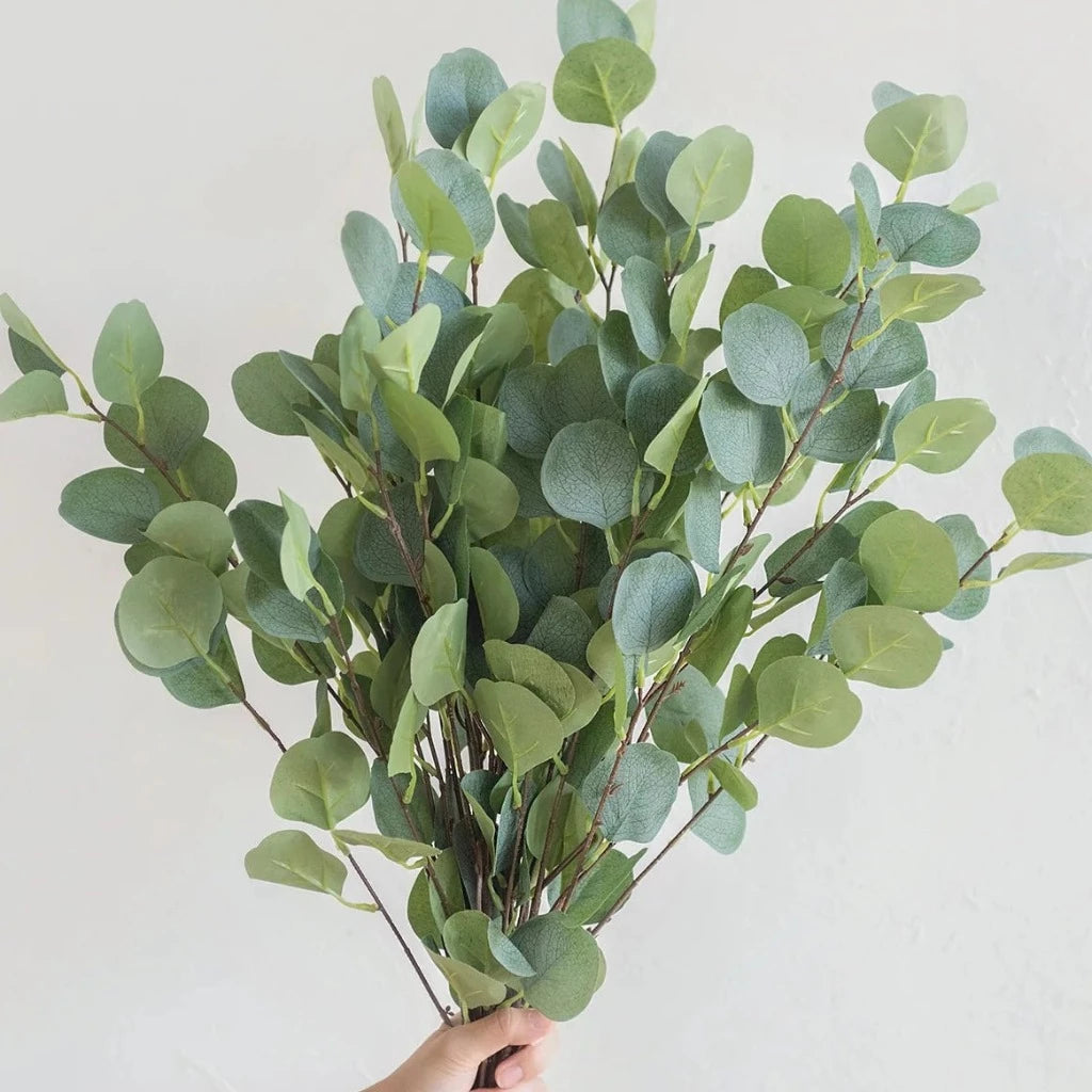 DECOR - Silver Dollar Eucalyptus