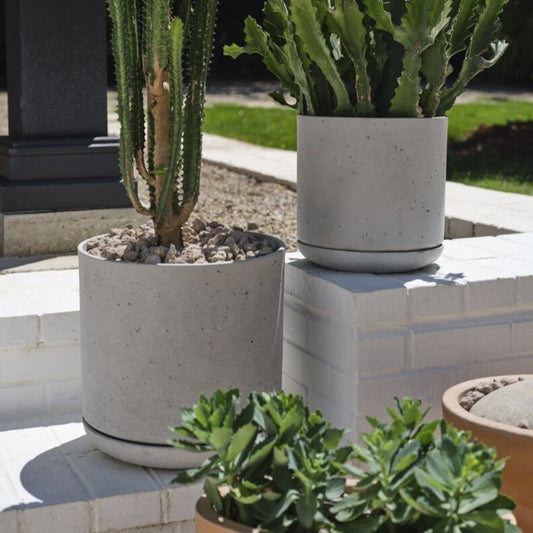 Dionne Pot with Saucer - 11"