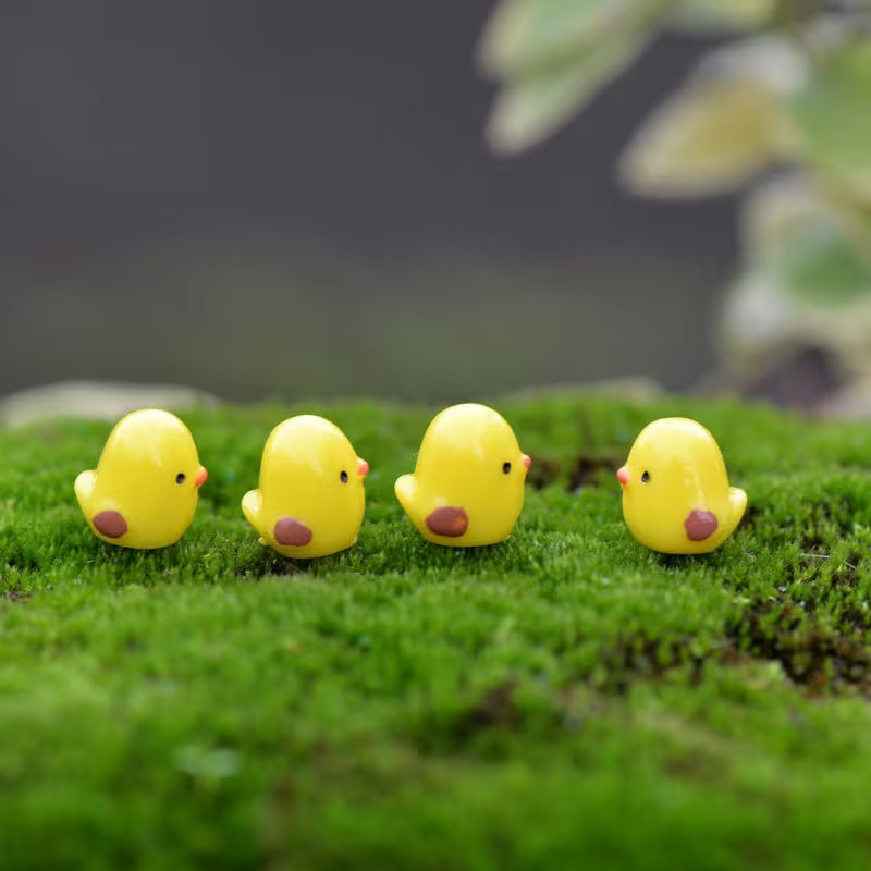 Miniature - Little Chicks