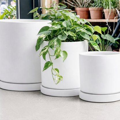 Mama Pot - 8"