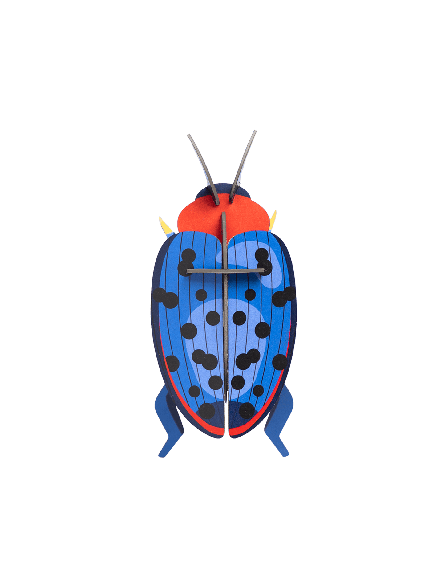 Fungus Beetle Wall Art