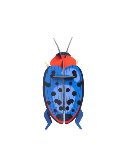 Fungus Beetle Wall Art