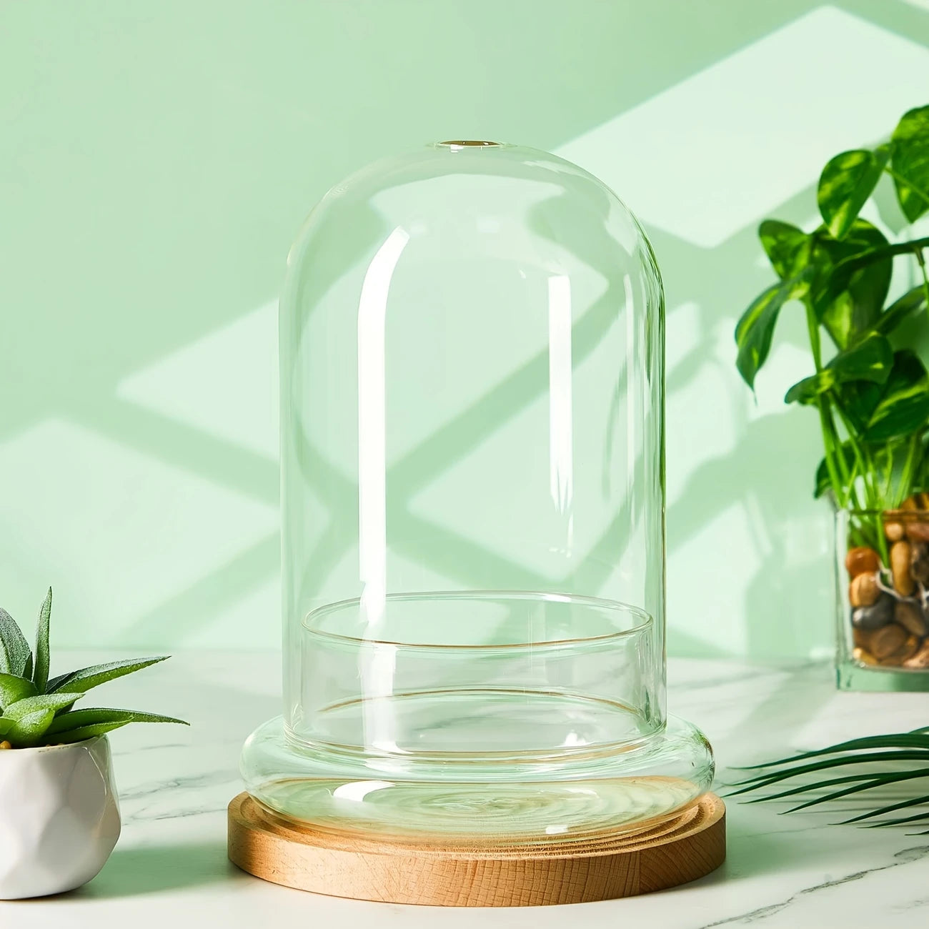 Glass Cloche Terrarium