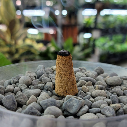 INCENSE - PALO SANTO CONE - SINGLE