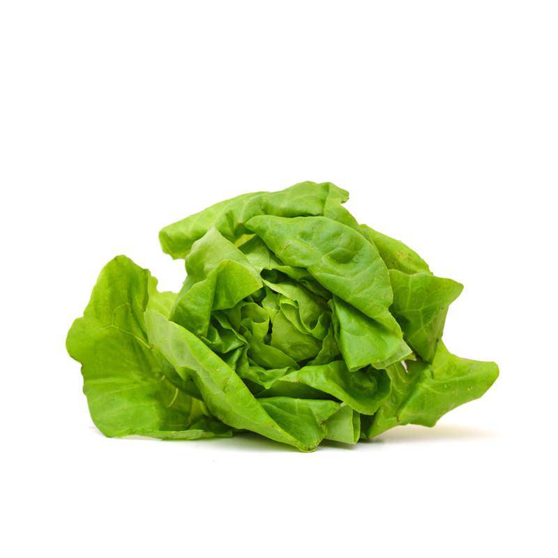 Vegetable - Lettuce Buttercrunch