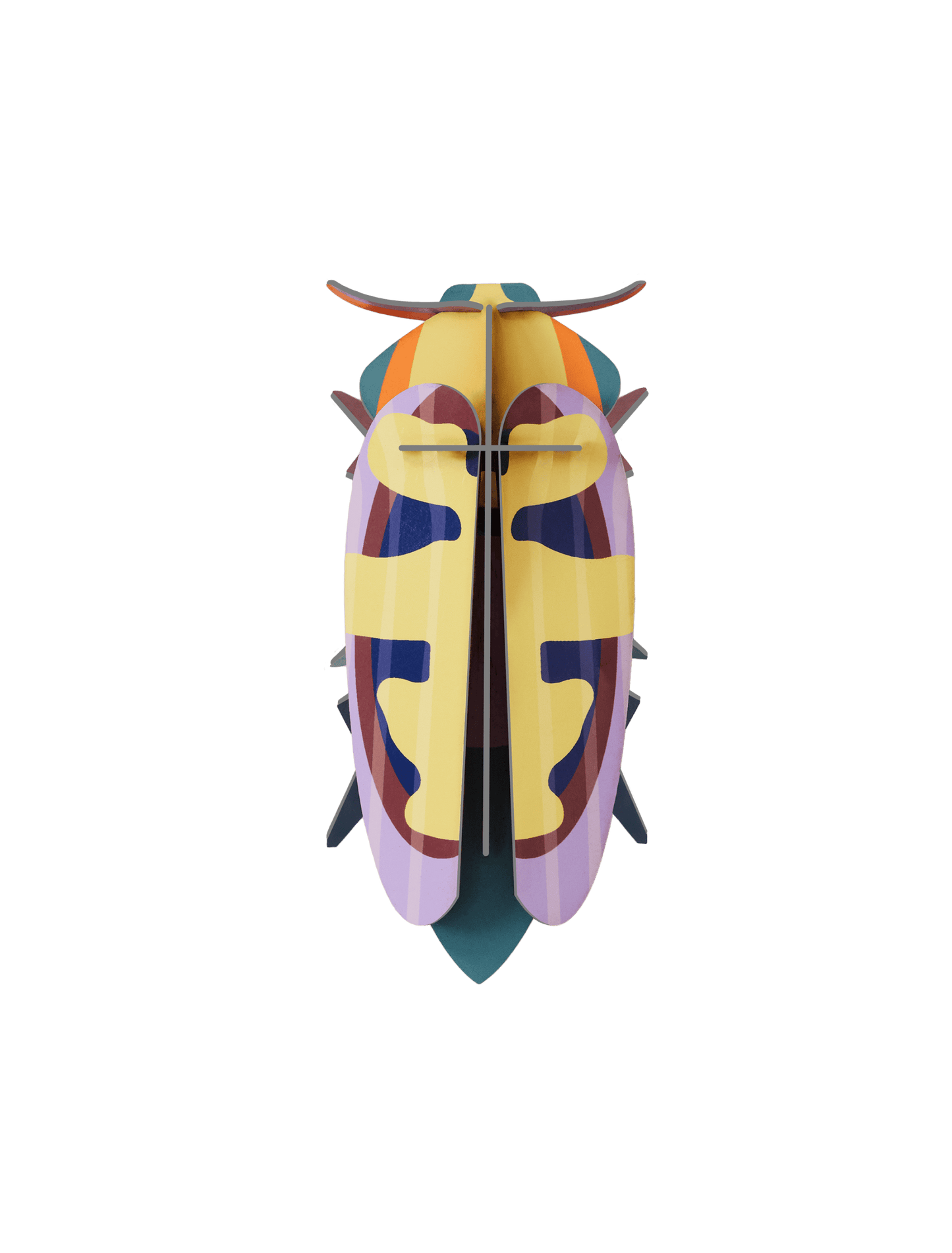 Mango Flower Beetle Wall Art