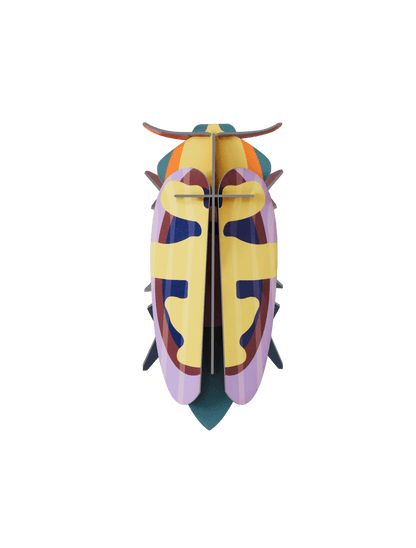 Mango Flower Beetle Wall Art