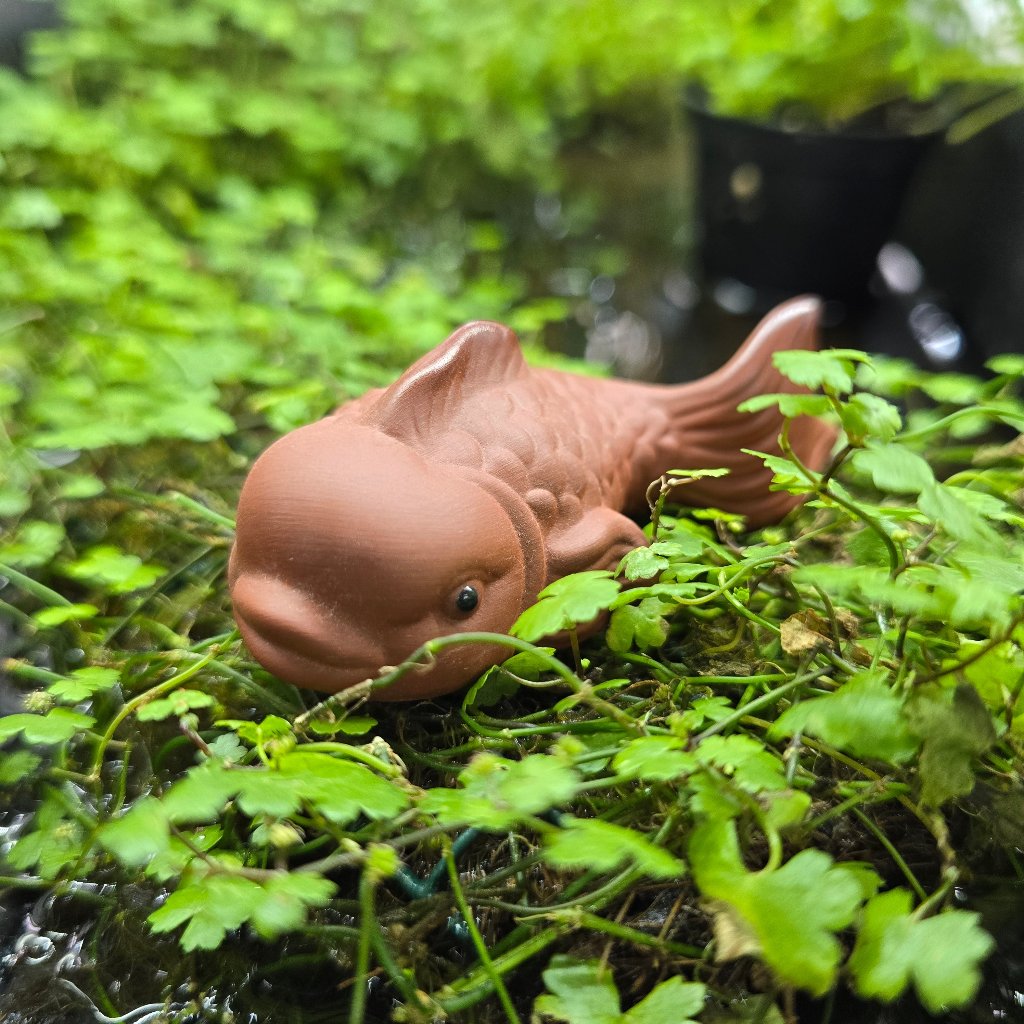 MINIATURES - Tea Pet - Fish  (terracotta)