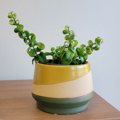 Mirage Planter - 5"
