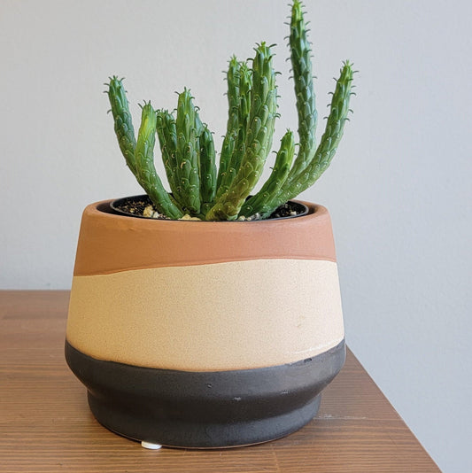 Mirage Planter - 5"