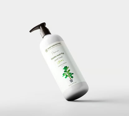 Easy Harvesting - Ficus Plant Food