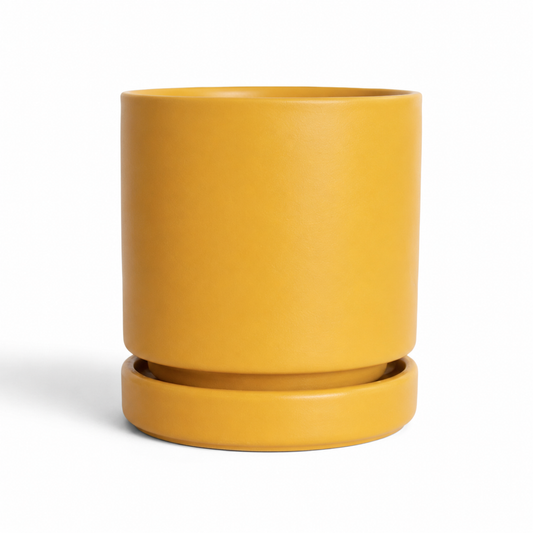 Momma Pot - Mustard