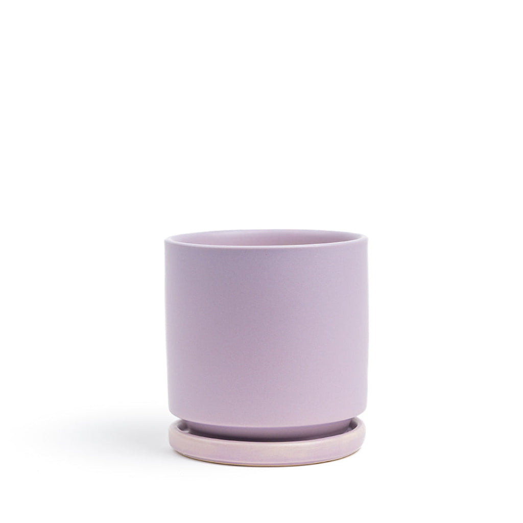 Momma Pot - 4.5"