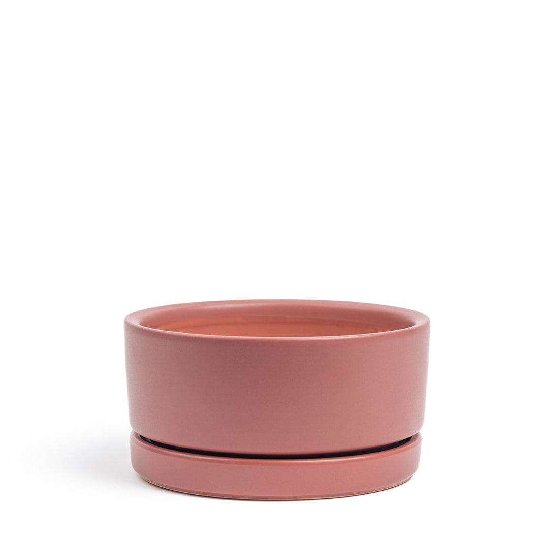 Momma Pot  - Low Bowl - 4.5"
